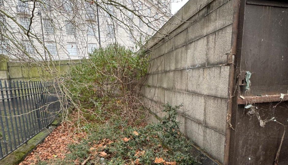 WhatsApp Image 2025 07 28 At 13.48.39 (4)